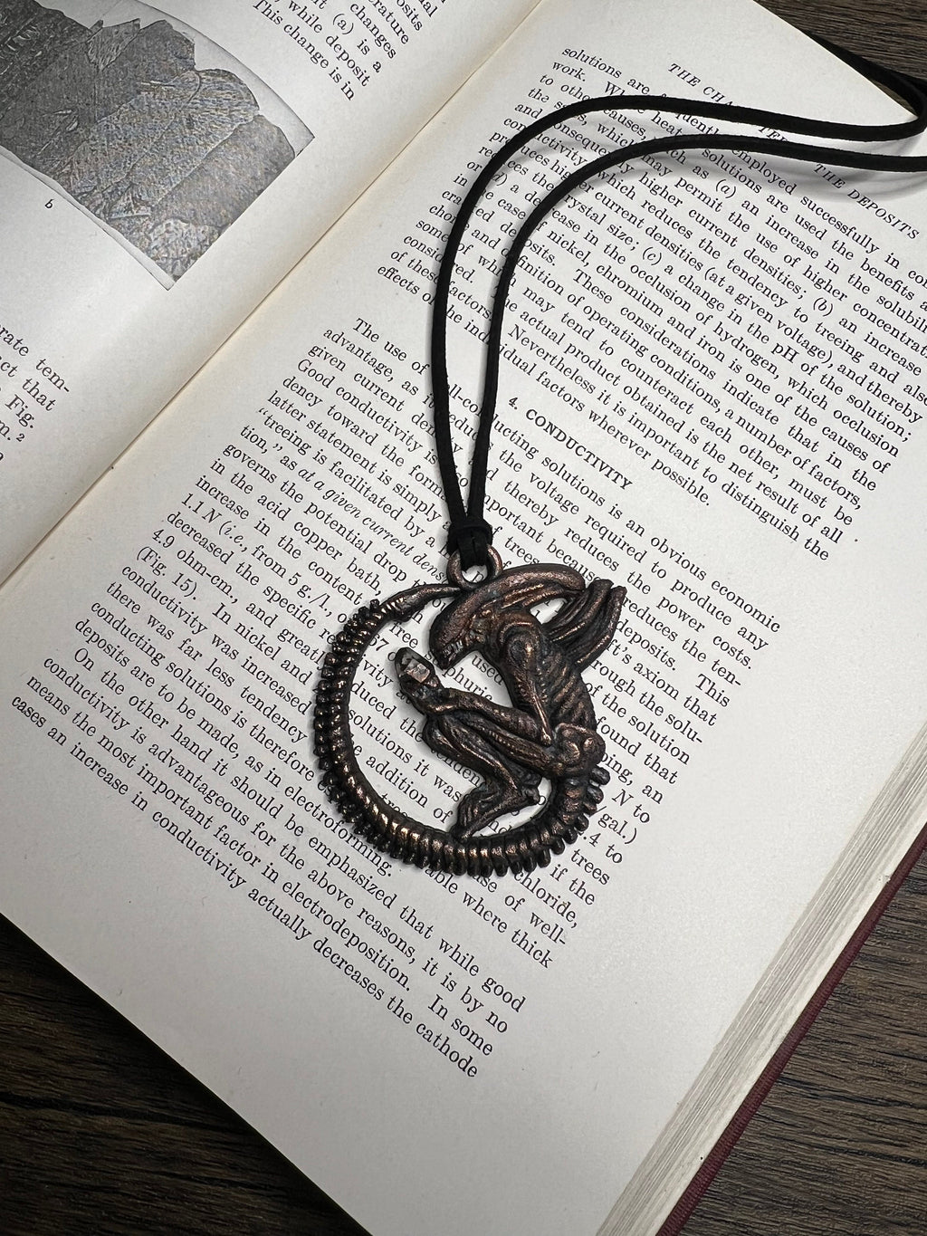 May include: A bronze-colored pendant featuring a detailed, skeletal creature with a long tail and wings. The pendant is hanging from a black cord and is surrounded by a circular, metal frame.