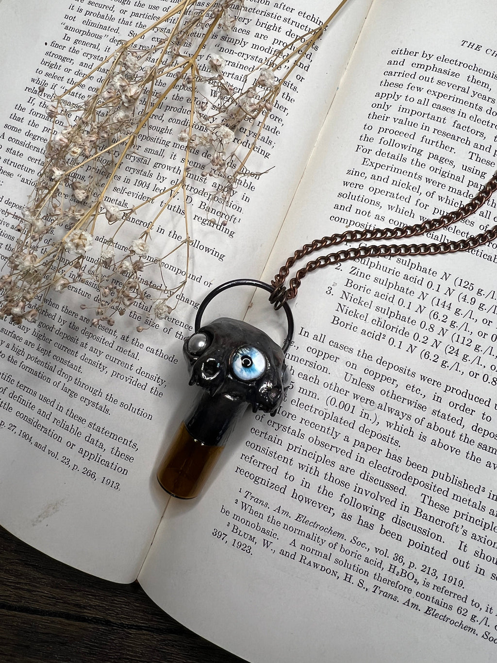 May include: A black and silver necklace with a pendant featuring a glass bottle with a brown liquid inside and a black and silver creature with a blue eye. The necklace is on top of a book with text about electrochemistry.