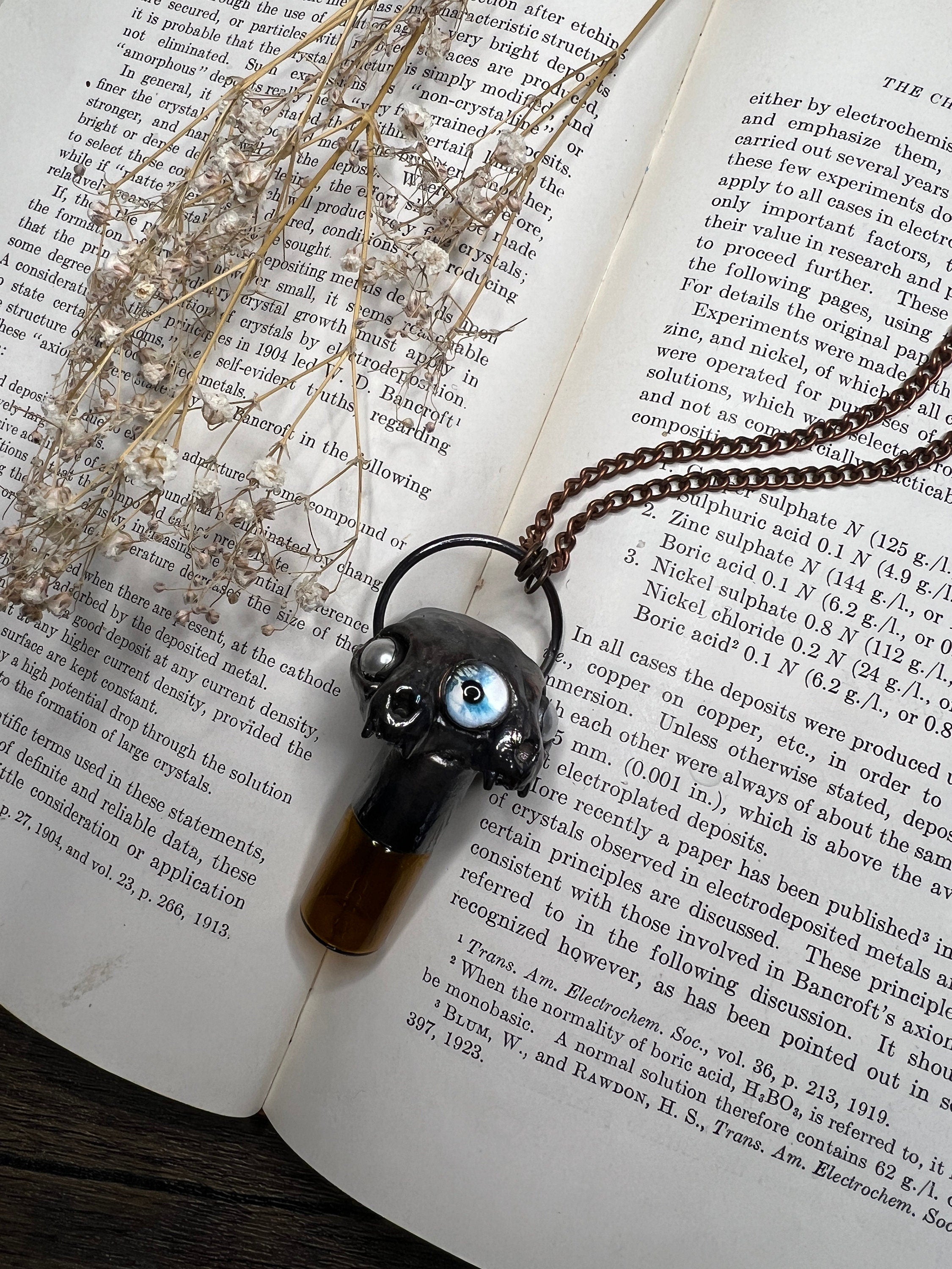 May include: A black and silver necklace with a pendant featuring a glass bottle with a brown liquid inside and a black and silver creature with a blue eye. The necklace is on top of a book with text about electrochemistry.